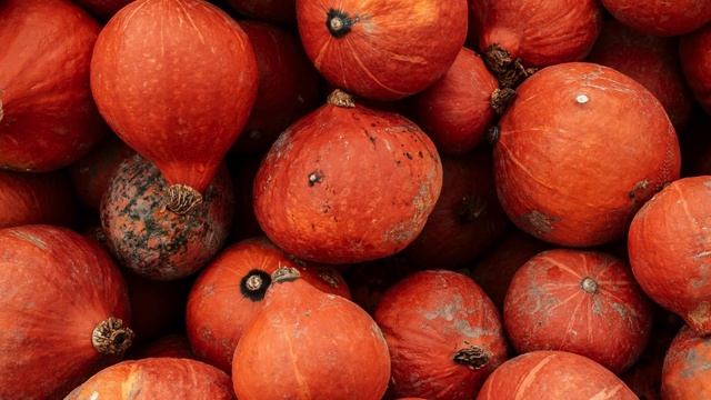 ПРОСТО ЕЛ ОБЫЧНУЮ ТЫКВУ......мало кто знает, что творит один кусочек, даже если вы........ смотреть онлайн