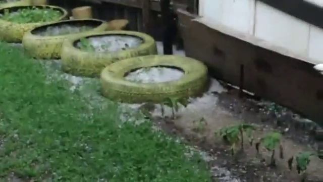 Погода в Кустанае смотреть онлайн