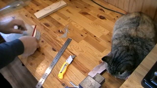 ТЕПЛЫЙ ВХОД В КОШКИН ДОМ (CATS HOME WARM ENTRANCE) смотреть онлайн