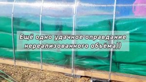 Черенкование туи 2023 окончено! Выводы, неудачи, планы