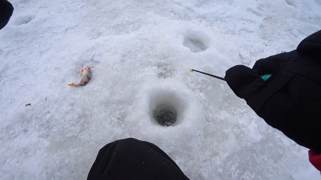 Безмотылка и балансир, РАБОТАЕТ на малой реке ВСЕГДА! Рыбалка зимой в 2022 смотреть онлайн