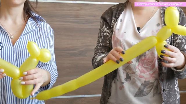 Собака из ШДМ: как сделать собачку из воздушных шаров? смотреть онлайн