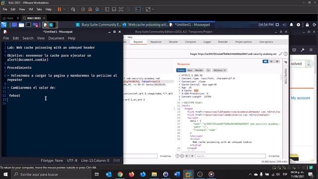 Lab Web cache poisoning with an unkeyed header смотреть онлайн