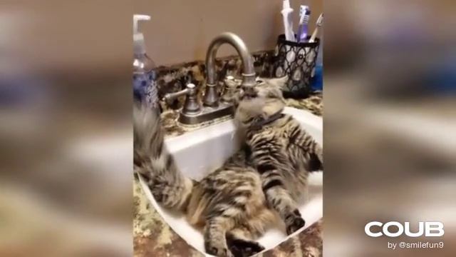 1608474458_looped_1608474456.mp4 смотреть онлайн