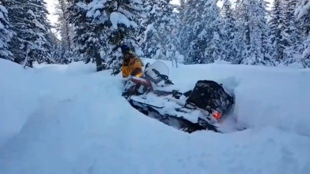 CCD7E844 FE90 4D06 A581 99AD00E25064 смотреть онлайн