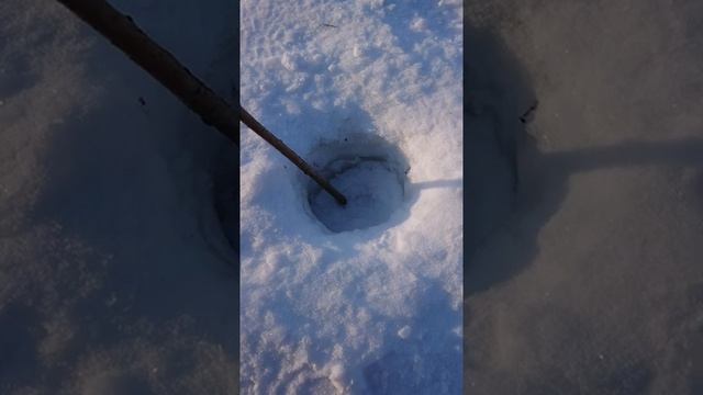 Не бурите старые лунки. Ножи для бура и ледобур можно испортить. Зимняя рыбалка. Лайфхак.