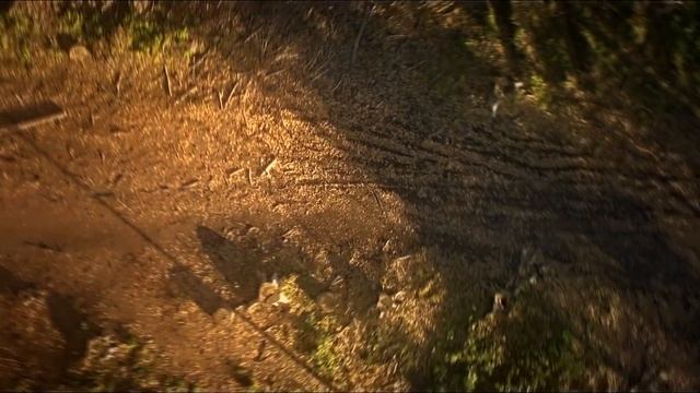 "Ах,если спросишь..." - стихи Софии Киларь, музыка Татьяны Михайличенко смотреть онлайн