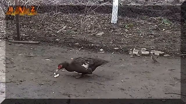 МЕЛОДИЯ ДУШИ (погода как настроение и настроения как погода сегодня 04.01.2021) смотреть онлайн