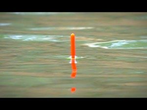 Бешеный клёв карася на УЛЬТРА ЛЕГКУЮ УДОЧКУ. Поплавочная ловля карася. Поклёвки крупным планом.