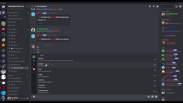 Discord's new Slash command features! смотреть онлайн