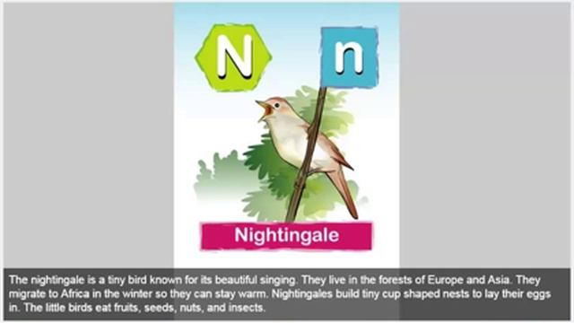 Hey Kids ! Lets Learn A to Z Animals смотреть онлайн