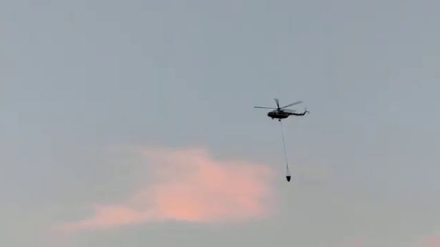 Тушение пожара в Протопоповской роще Оренбург 1 августа 2021 год. смотреть онлайн