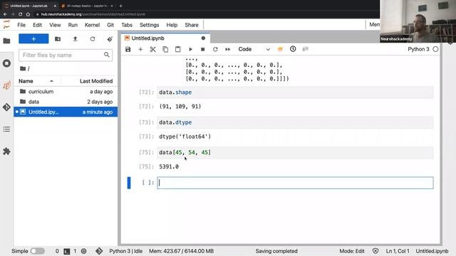 NeuroHackademy 2021: Advanced programming in Python смотреть онлайн