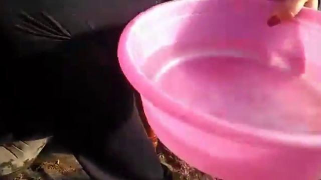 Фортрут Часть I смотреть онлайн