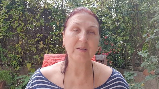 Большой ВЛОГ из Прованса и не только про котят/Пробежка вокруг дома до оливковой рощи