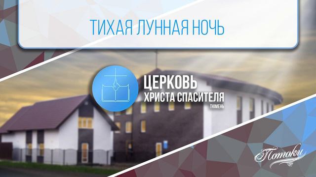 Тихая лунная ночь