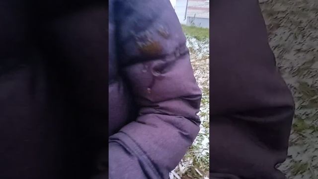 Едим желе. смотреть онлайн