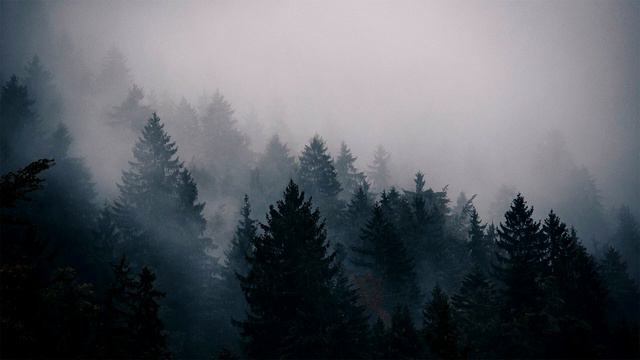 Ultimate Atmospheric Black Metal Compilation (Part II)