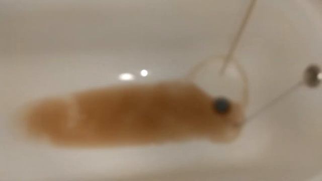 Ржавая платная горячая вода.