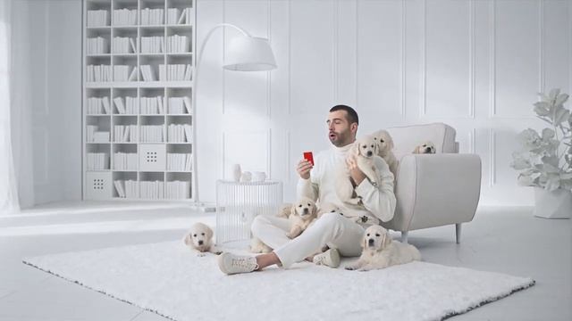 Реклама Альфа-Банк " Иван Ургант и щенята. Возможно, самое милое видео, которое вы видели . " смотреть онлайн
