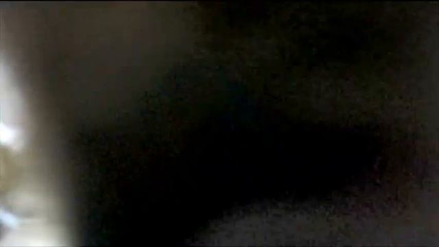 2 Airedale Terrier, Collie & fade Gschicht