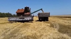 Выходил на поля молодой агроном...Ансамбль «Песняры»---очень позитивно!!!