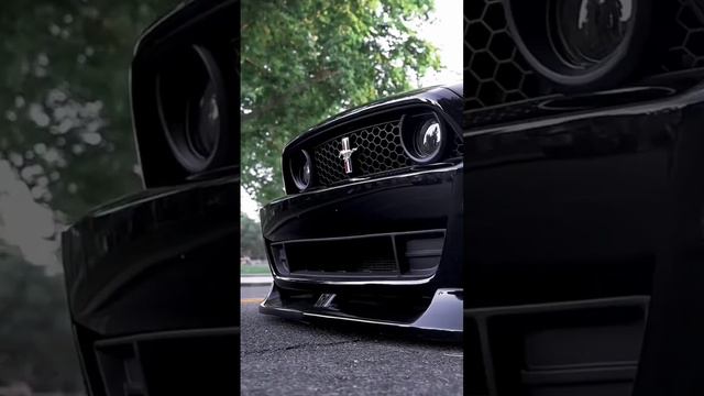 Mustang никто не хочет скрутить колпачки из жилеза смотреть онлайн