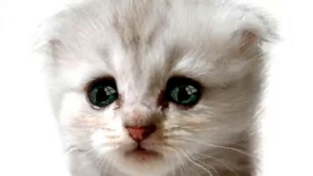 Видео с веб-камеры. Дата: 20 сентября 2013 г., 12:22.