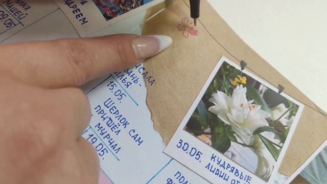 ✍?Подводим ИТОГИ спринта✨Впечатления и цели??Ежедневниковый влог?12 недель труда??Планирование смотреть онлайн