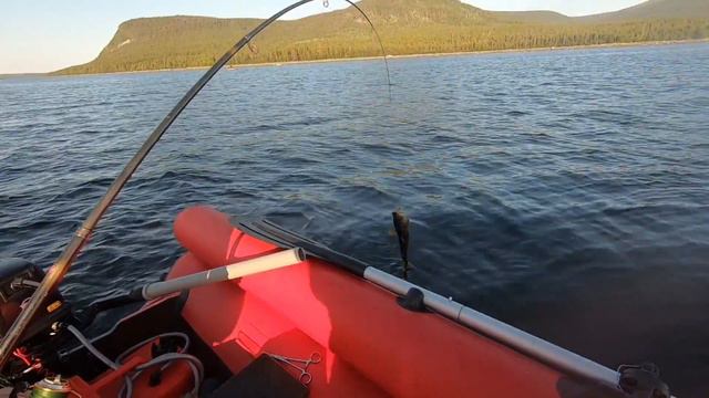 Рыбалка в Заполярье. Ловля трески в Кандалакшском заливе.