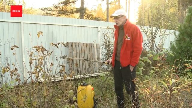 Сергей Богатский : Джентльмен у ДАЧИ. борьба с вредителями смотреть онлайн