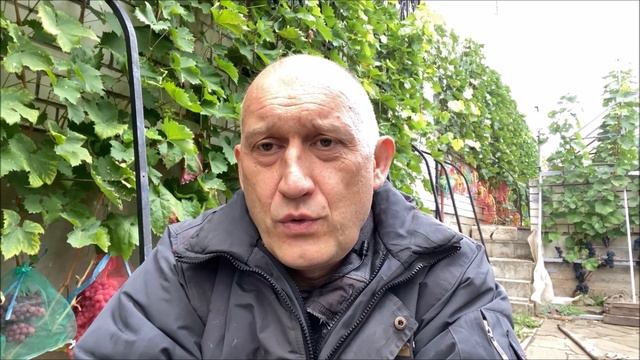 Виноград Прима Украины в северном Подмосковье или в погоне за бомбой смотреть онлайн