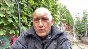 Виноград Прима Украины в северном Подмосковье или в погоне за бомбой