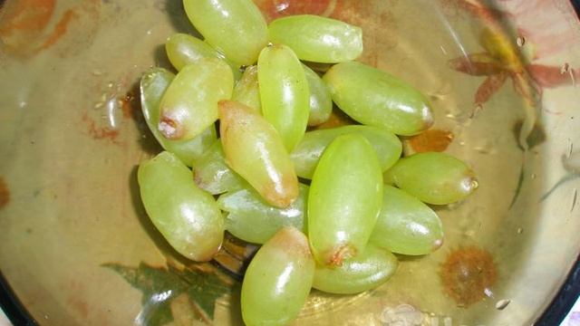 Рецепты от шеф-повара