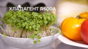 Видеообзор на Холодильник встраиваемый MAUNFELD MBF177SW
