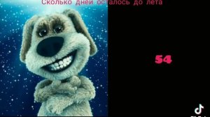 сколько дней осталось до лета