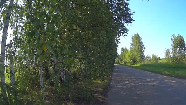 Сходили за грибами. Борьба с травой. Косим Каждый День. 88 серия смотреть онлайн