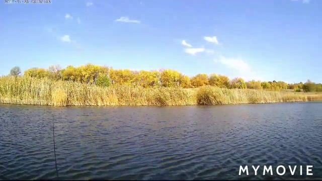 Рыбалка на хищника октябрь 2020. с.Солоти Валуйский рн. смотреть онлайн