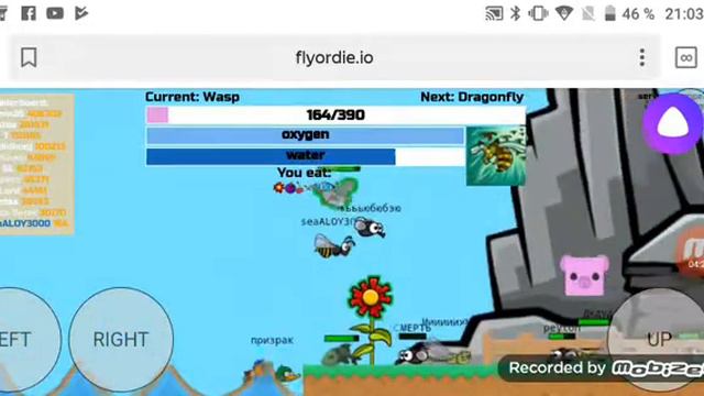 FlyOrDie.io #1 очень много игроков