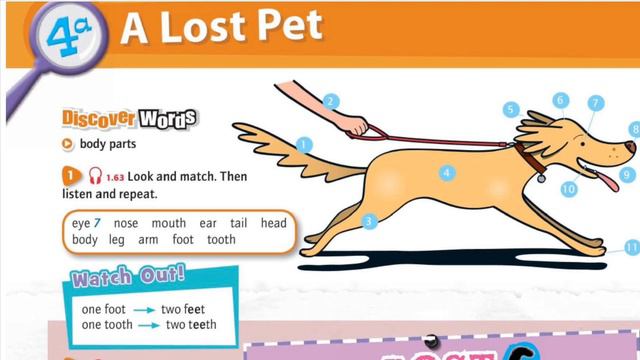 DISCOVER ENGLISH STARTER Pearson Unit 4 Pets Lesson 1