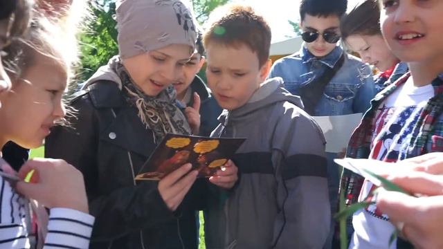 KIWI QUEST смотреть онлайн