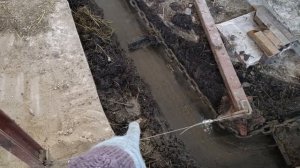 Система навозоудаления на ферме. Обзор / Отзыв