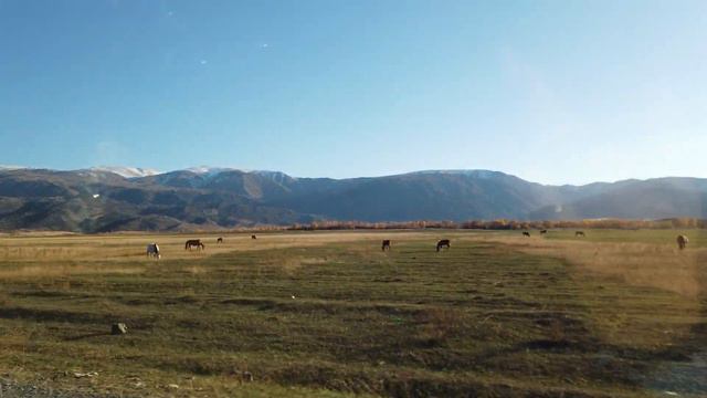 Дорога на КатонКарагай Река Теректи Восточный Казахстан смотреть онлайн