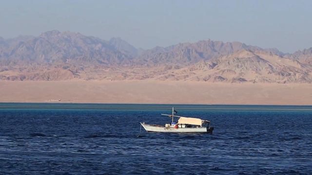 Egypt. Морской заповедник Ras Mohammed. Red sea. Sharm-El-Sheikh смотреть онлайн
