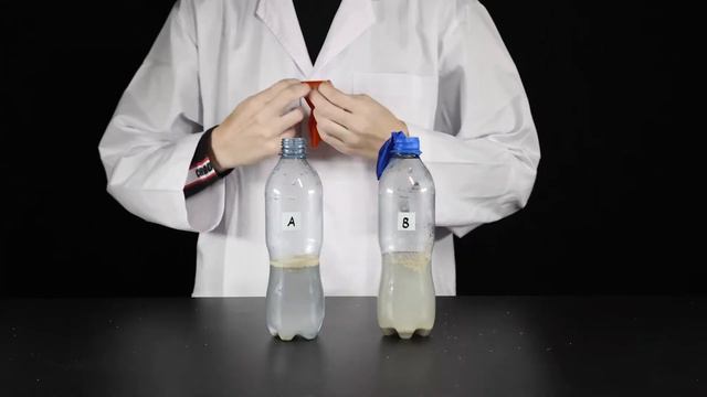 Cellular Respiration смотреть онлайн