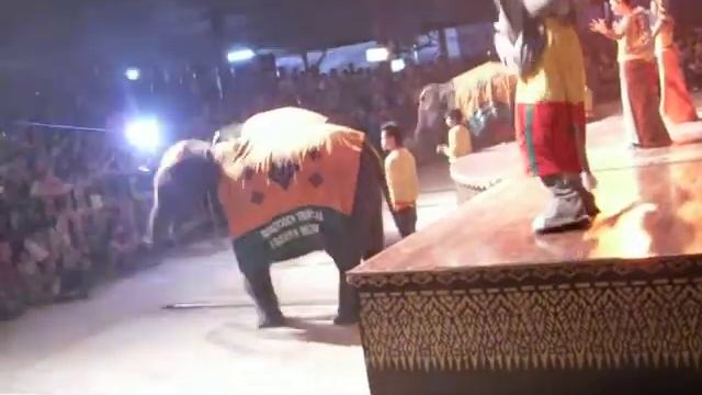 Народные песни и танцы, слоны, народные традиции Таиланда, Тропический парк Нонг Нуч смотреть онлайн