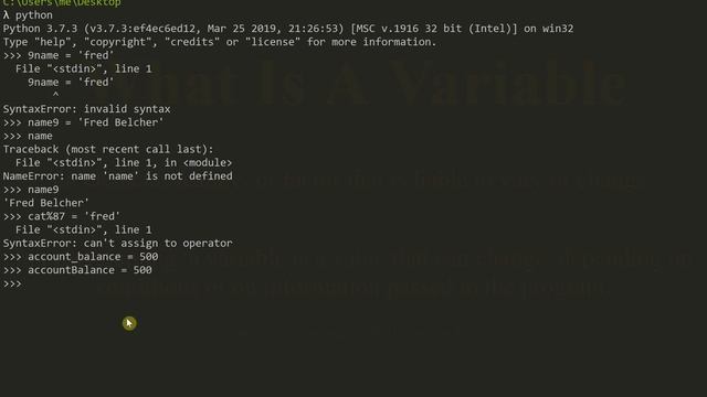 Python Tutorial For Beginners - Episode 4 - Variables смотреть онлайн