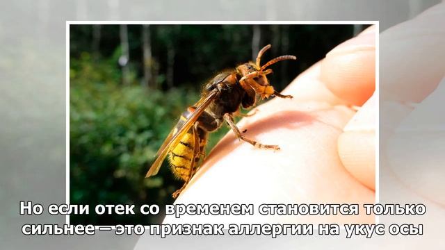 Тайное переплетение судьбы