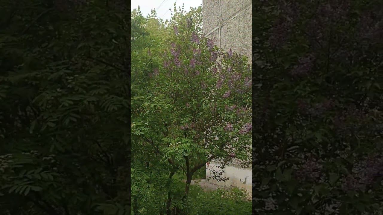 Вот кто забрал всё тепло) смотреть онлайн
