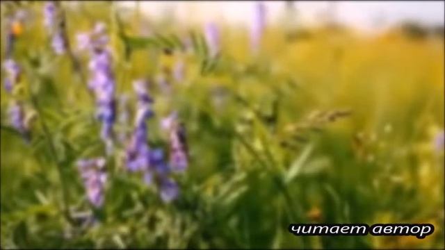 Роза Хастян - ЖИЗНЬ смотреть онлайн